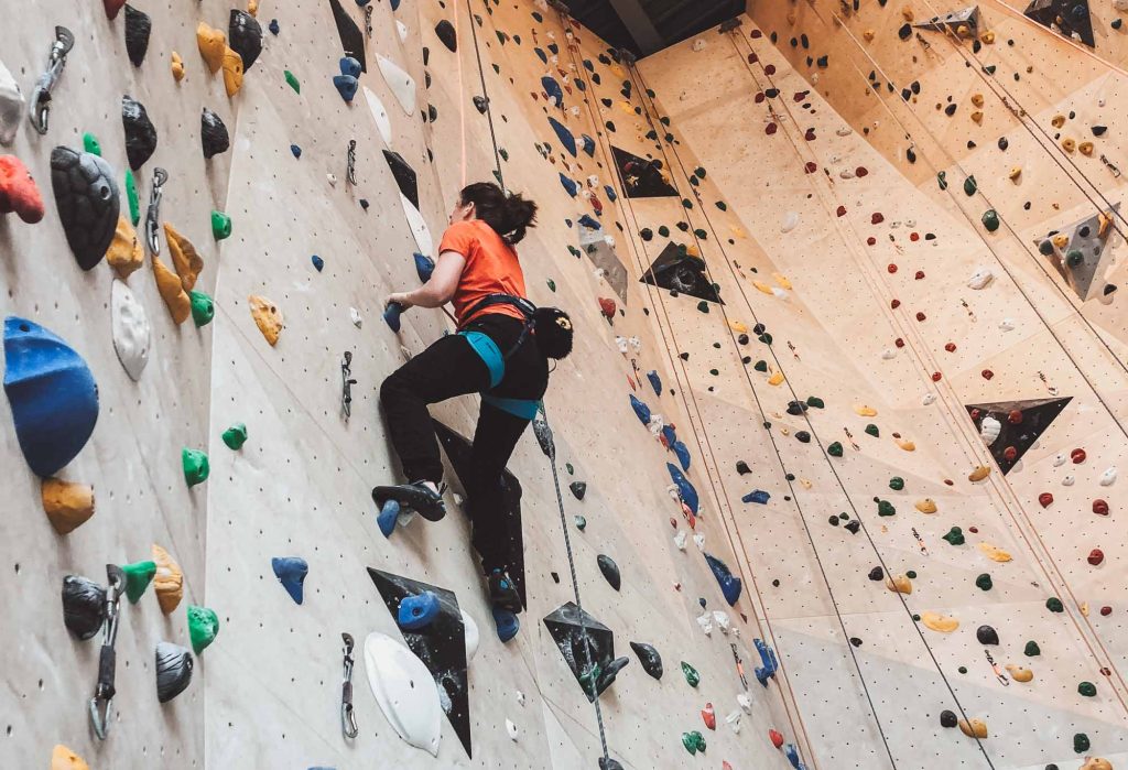 Indoor Klimmen In Nederland 11 2