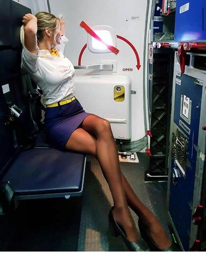 Sexy Stewardess